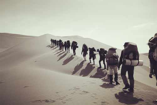 攝影二等獎(jiǎng)《征服》 作者:付興根(內(nèi)分泌科) 3.jpg