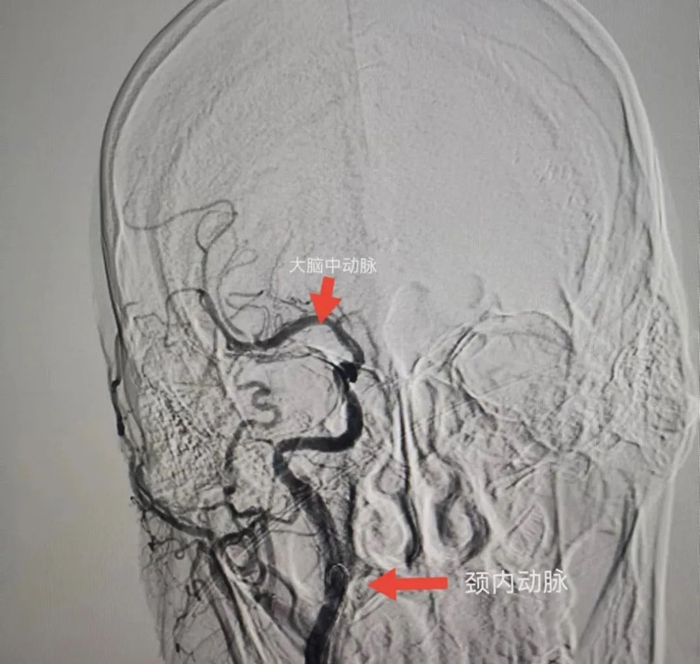 1686905739133528.jpg 640 (1).jpg