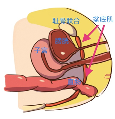 1692061441168138.png image.png