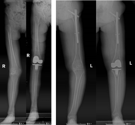 1695633837175356.png 640.png