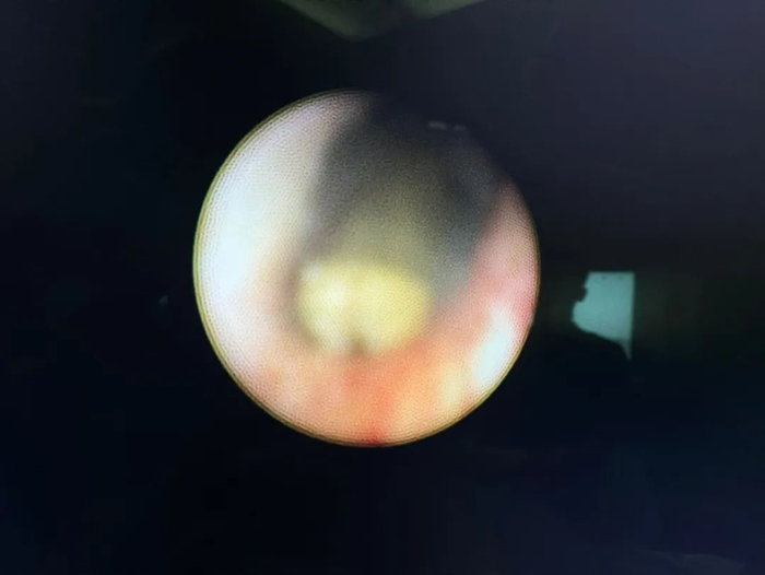 1699855663873886.jpg 640 (2).jpg